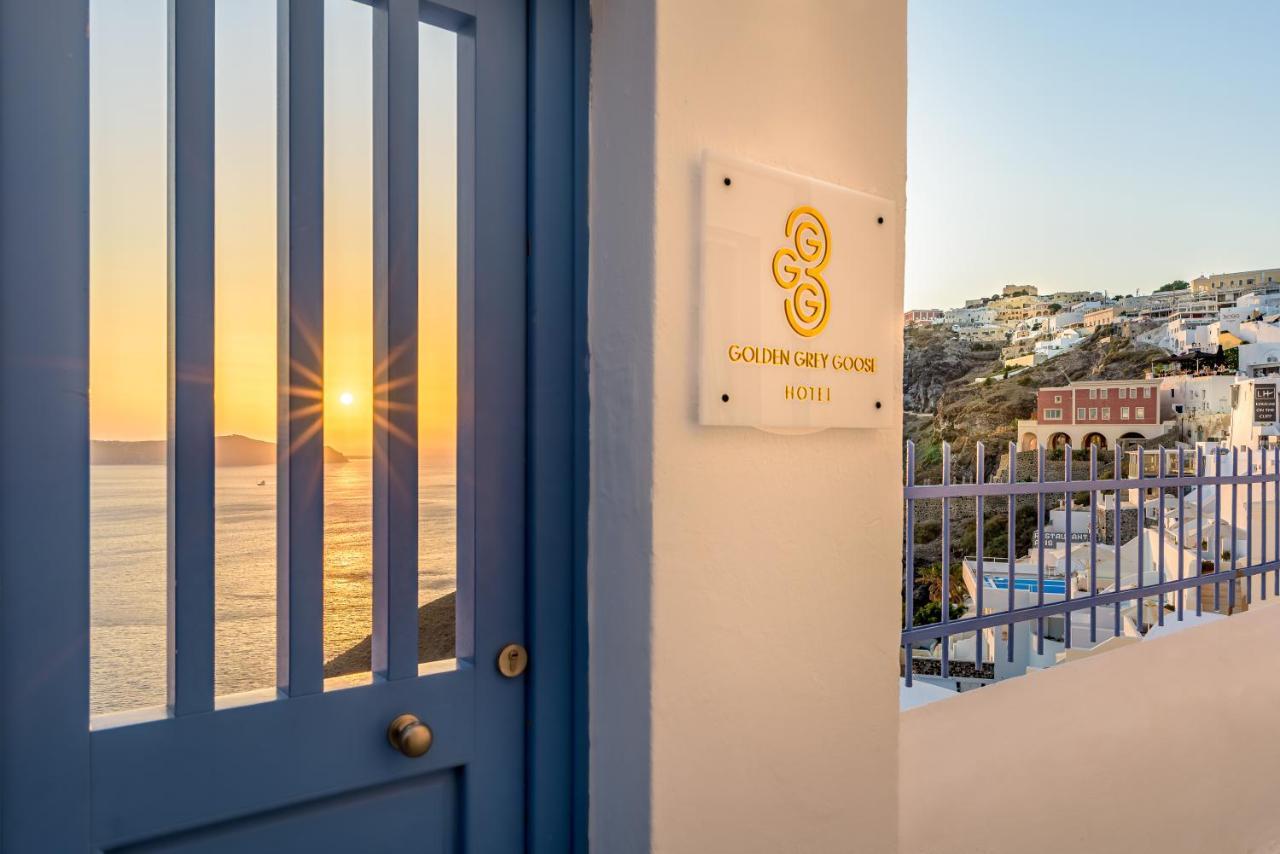 Golden Grey Goose * Fira (Santorini)